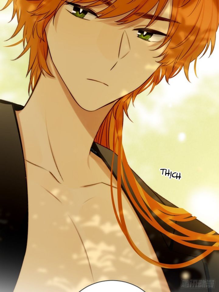 Chỉ Có Đuôi Là Không Thể Chapter 4 - Trang 2