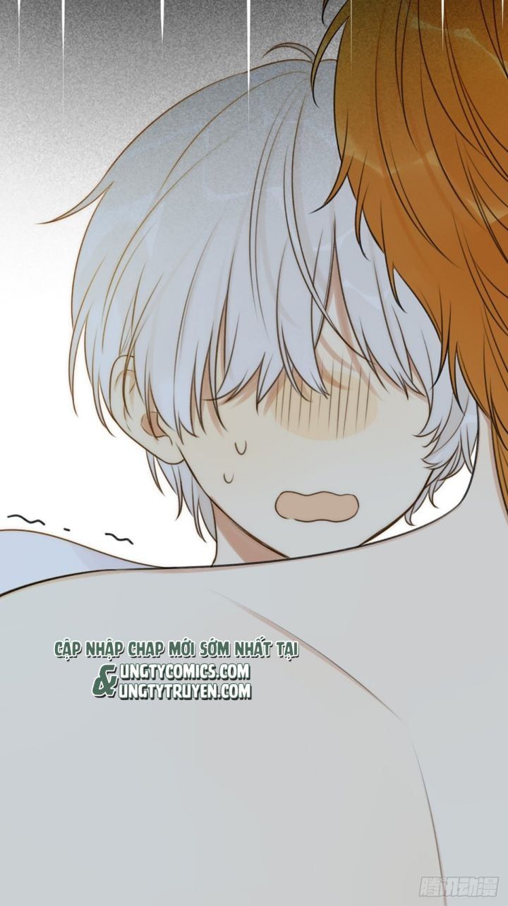 Chỉ Có Đuôi Là Không Thể Chapter 4 - Trang 2