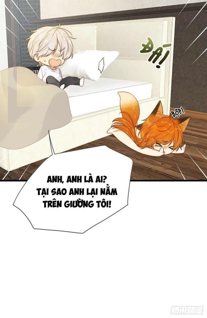 Chỉ Có Đuôi Là Không Thể Chapter 4 - Trang 2