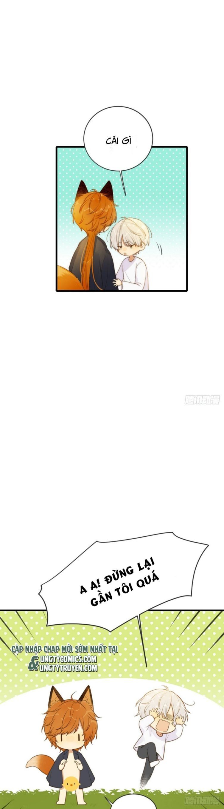 Chỉ Có Đuôi Là Không Thể Chapter 5 - Trang 2
