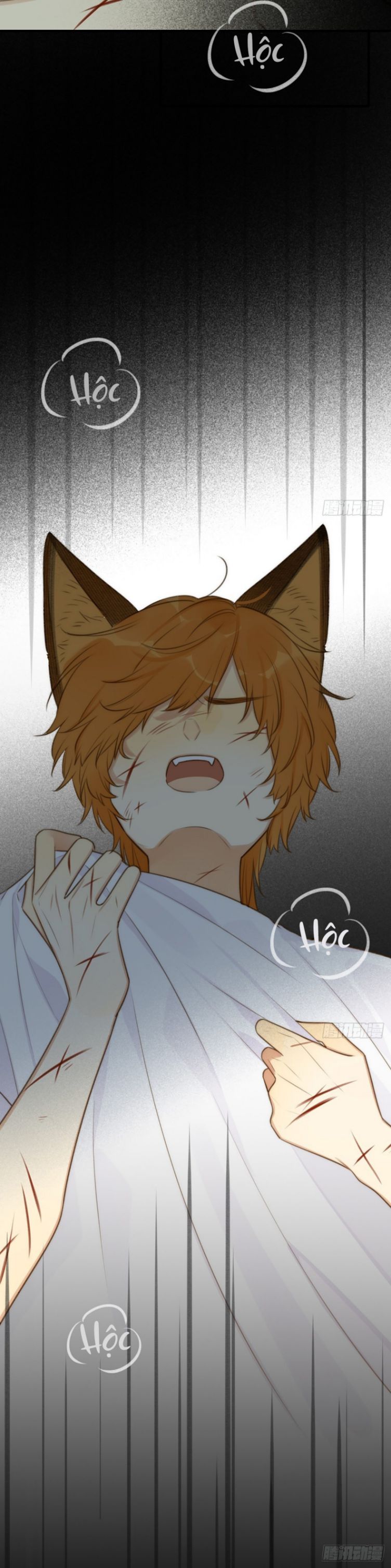 Chỉ Có Đuôi Là Không Thể Chapter 5 - Trang 2