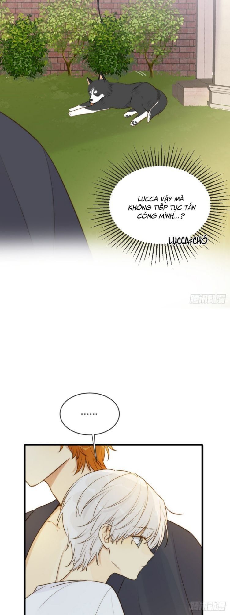 Chỉ Có Đuôi Là Không Thể Chapter 5 - Trang 2