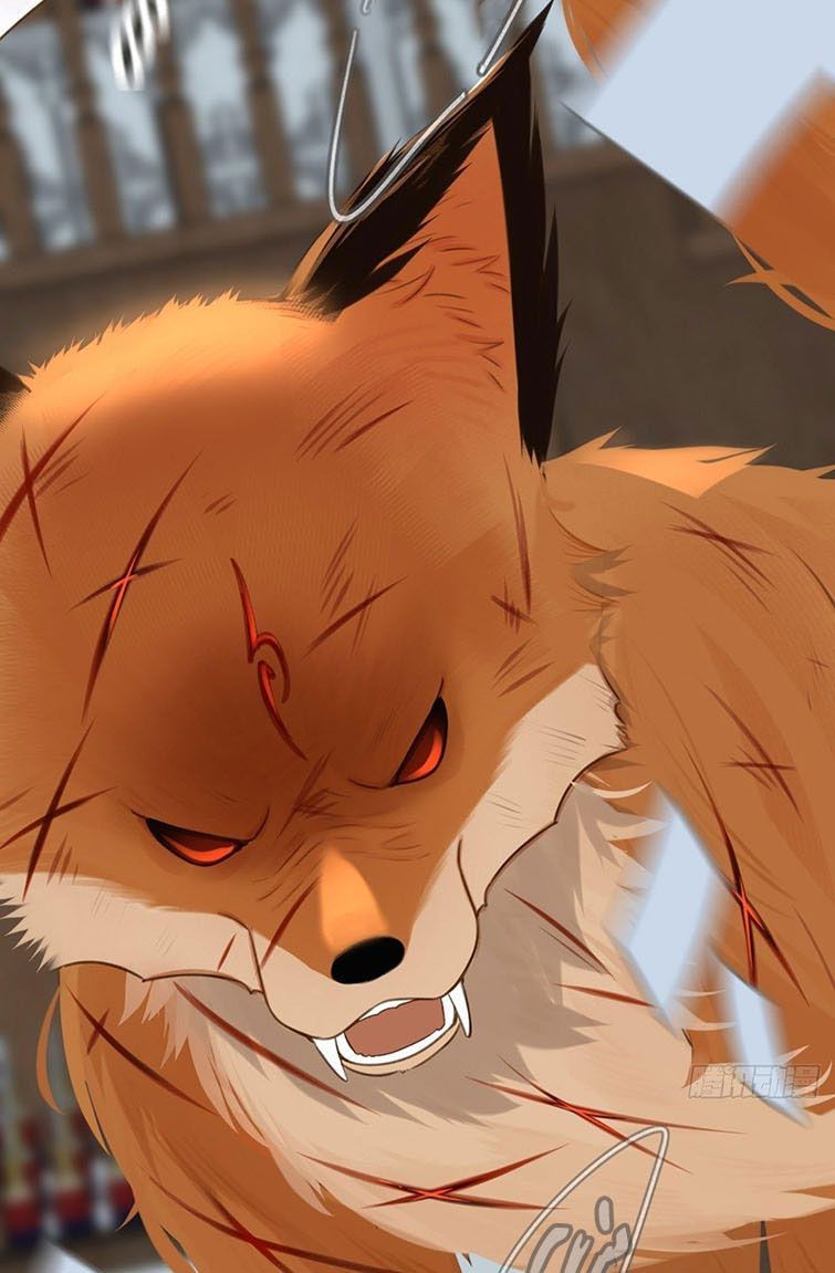 Chỉ Có Đuôi Là Không Thể Chapter 6 - Trang 2