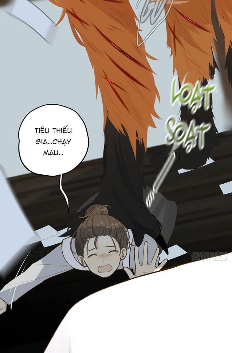 Chỉ Có Đuôi Là Không Thể Chapter 6 - Trang 2