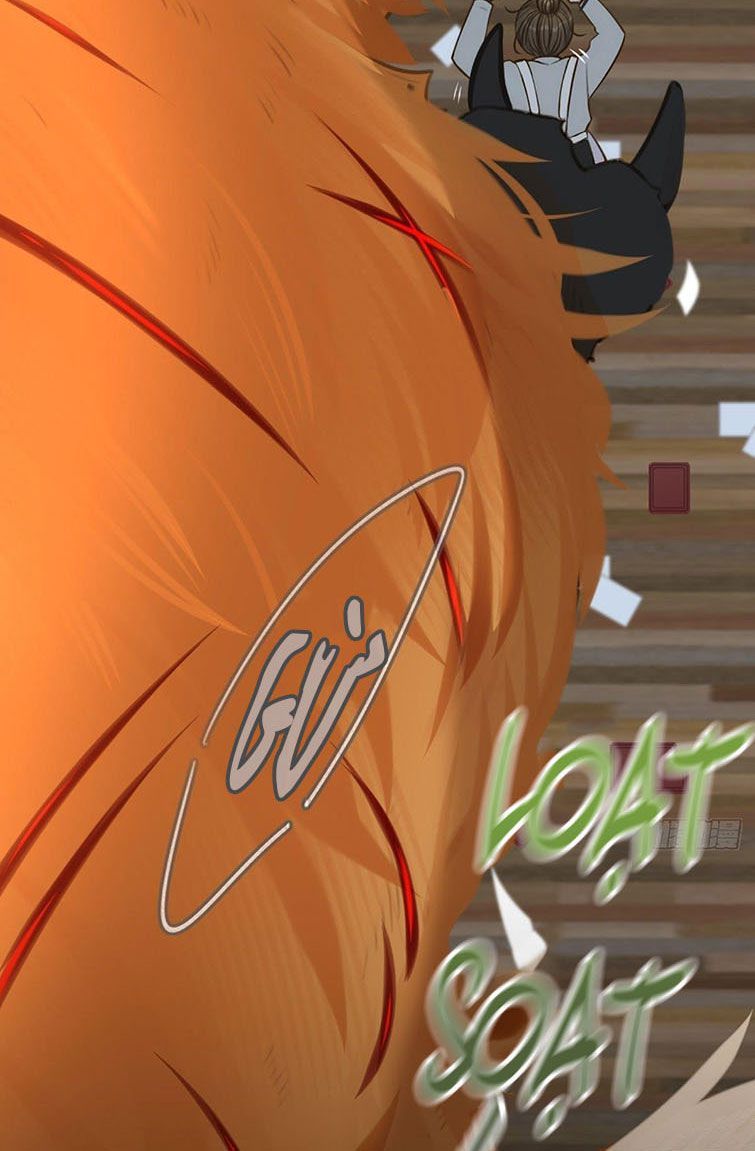 Chỉ Có Đuôi Là Không Thể Chapter 6 - Trang 2