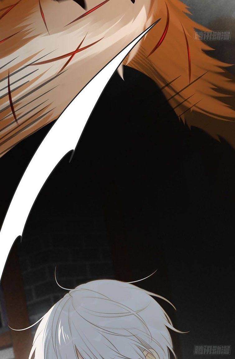 Chỉ Có Đuôi Là Không Thể Chapter 6 - Trang 2