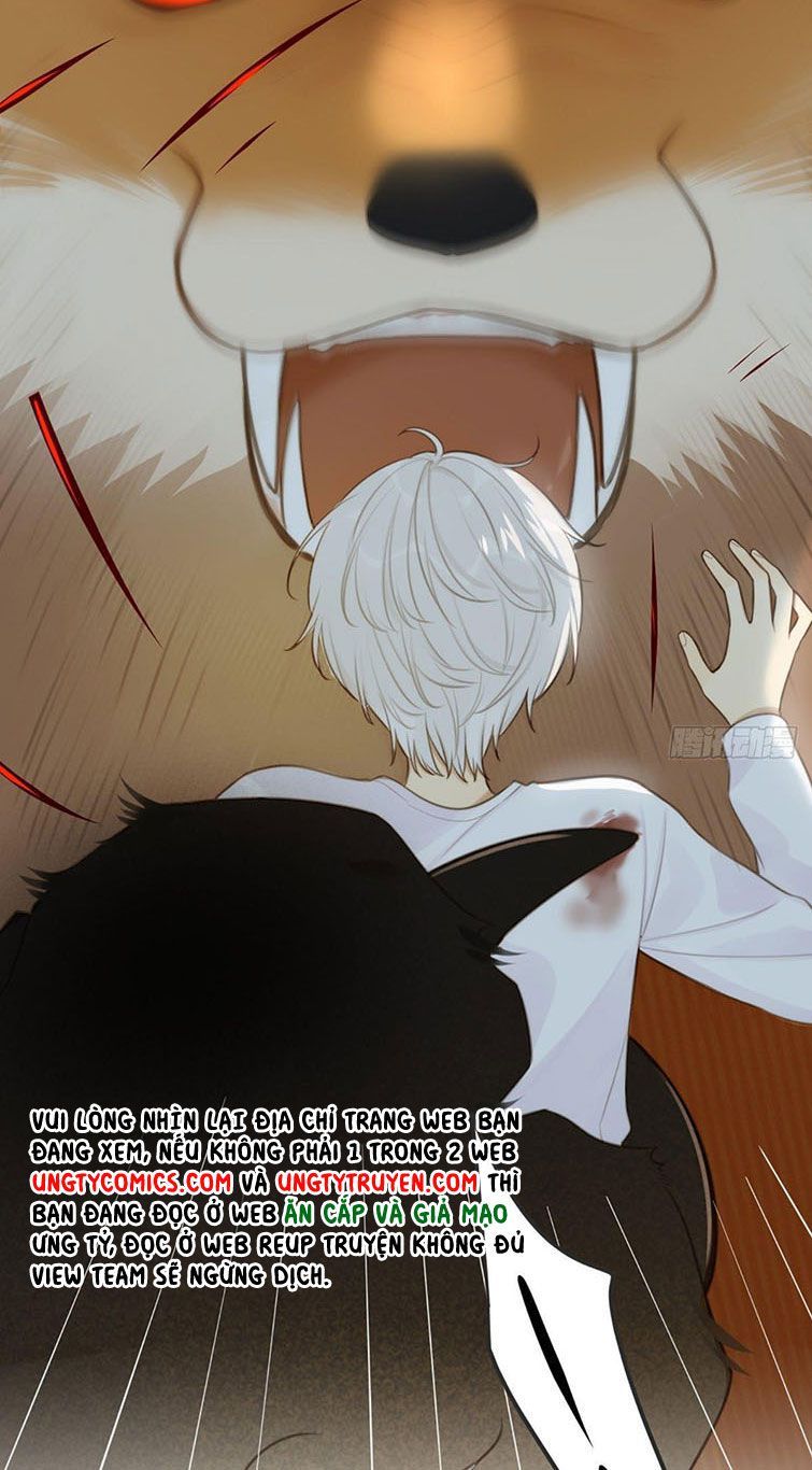 Chỉ Có Đuôi Là Không Thể Chapter 6 - Trang 2