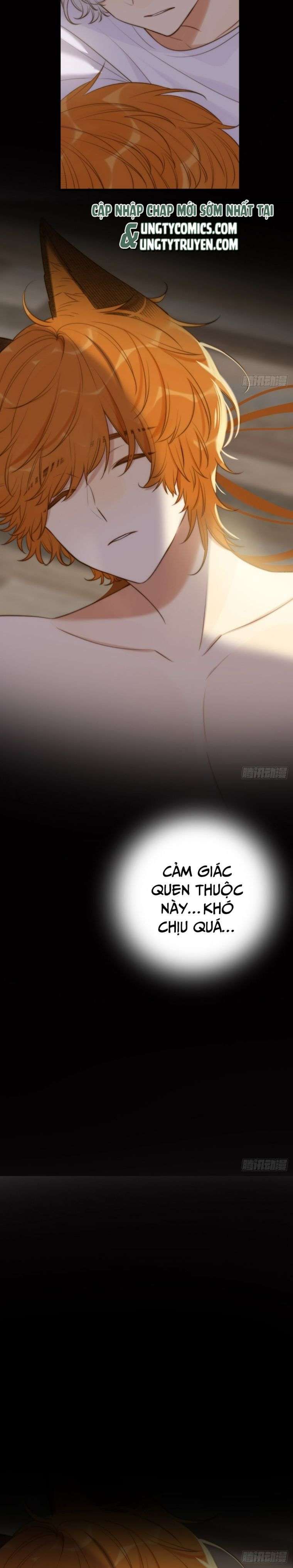 Chỉ Có Đuôi Là Không Thể Chapter 7 - Trang 2