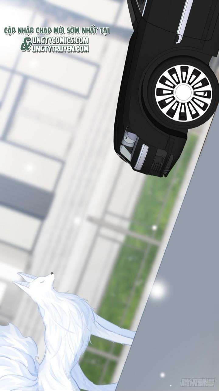 Chỉ Có Đuôi Là Không Thể Chapter 8 - Trang 2