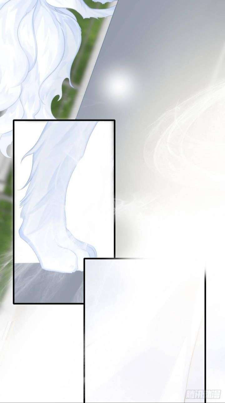 Chỉ Có Đuôi Là Không Thể Chapter 8 - Trang 2