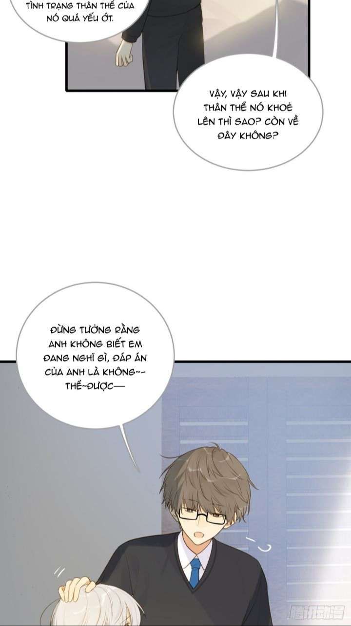 Chỉ Có Đuôi Là Không Thể Chapter 8 - Trang 2