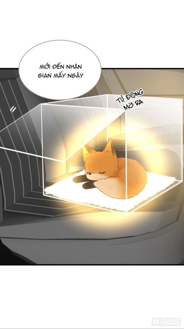 Chỉ Có Đuôi Là Không Thể Chapter 8 - Trang 2