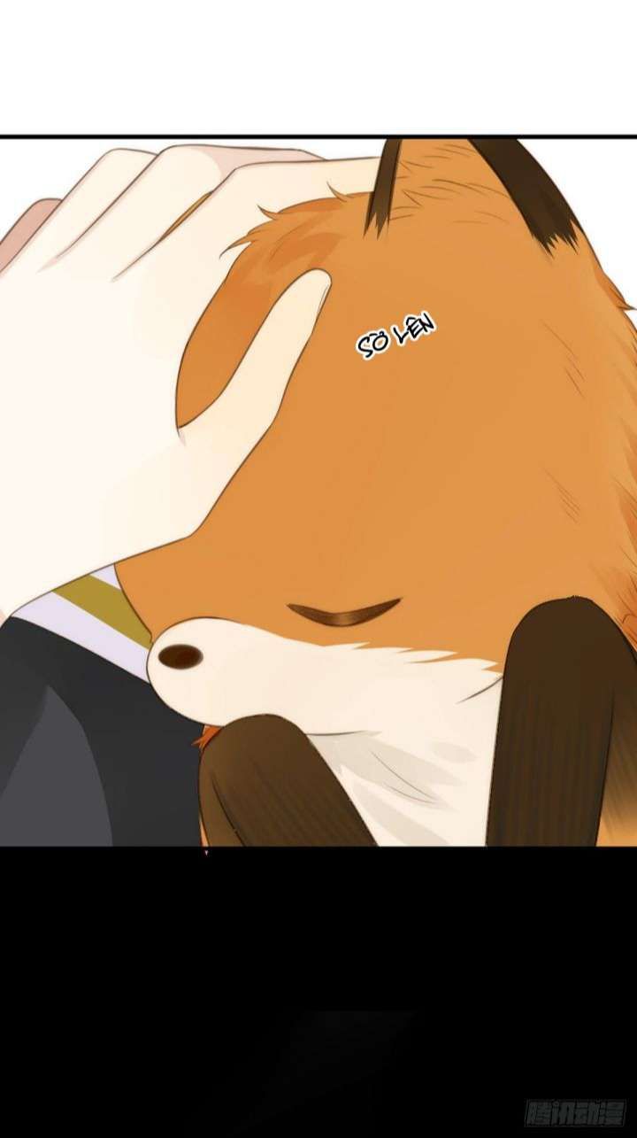 Chỉ Có Đuôi Là Không Thể Chapter 8 - Trang 2