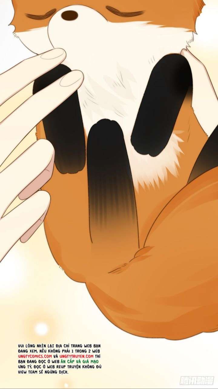 Chỉ Có Đuôi Là Không Thể Chapter 8 - Trang 2