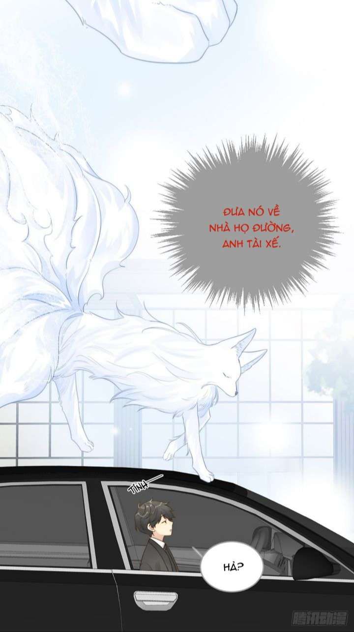 Chỉ Có Đuôi Là Không Thể Chapter 8 - Trang 2