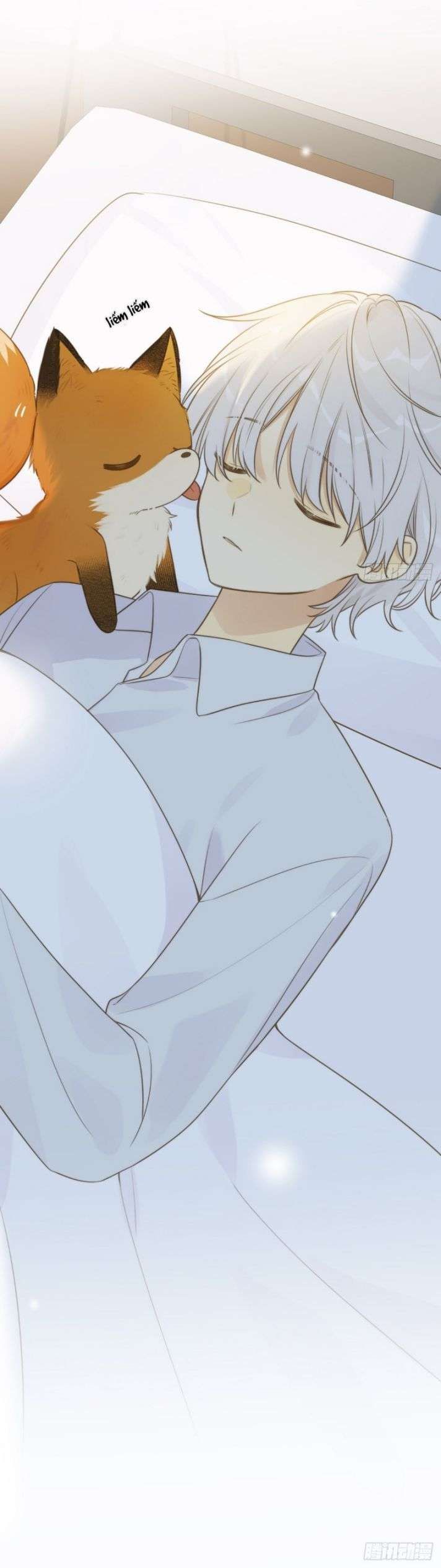 Chỉ Có Đuôi Là Không Thể Chapter 10 - Trang 2