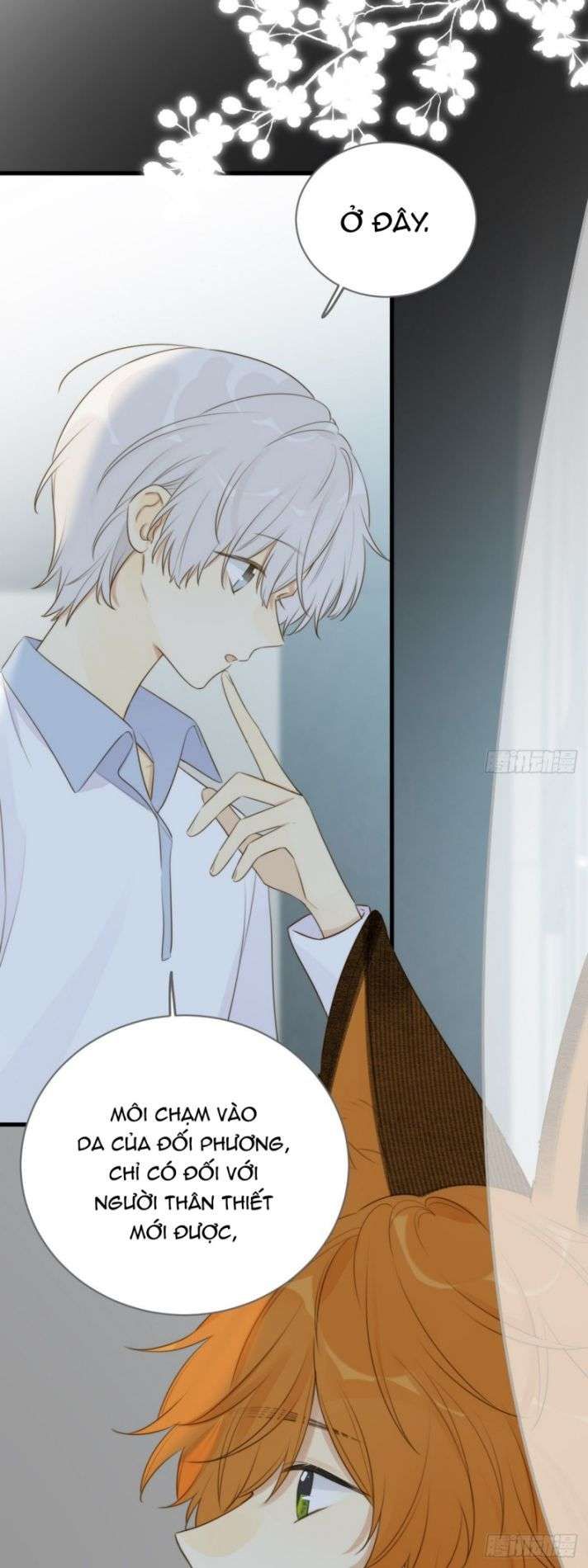 Chỉ Có Đuôi Là Không Thể Chapter 11 - Trang 2