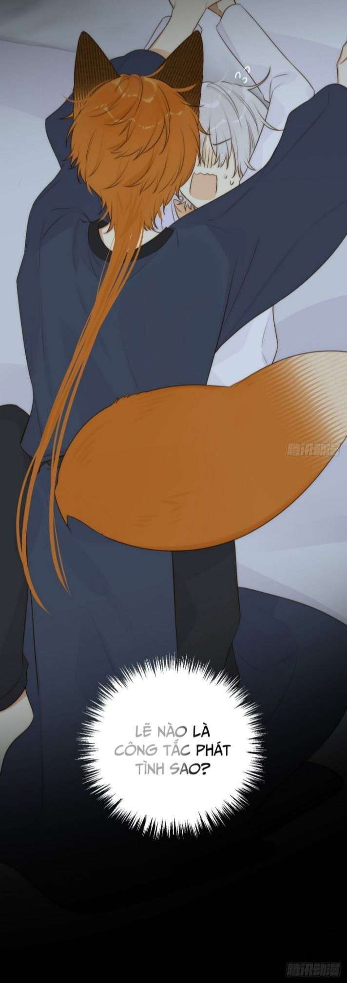 Chỉ Có Đuôi Là Không Thể Chapter 11 - Trang 2