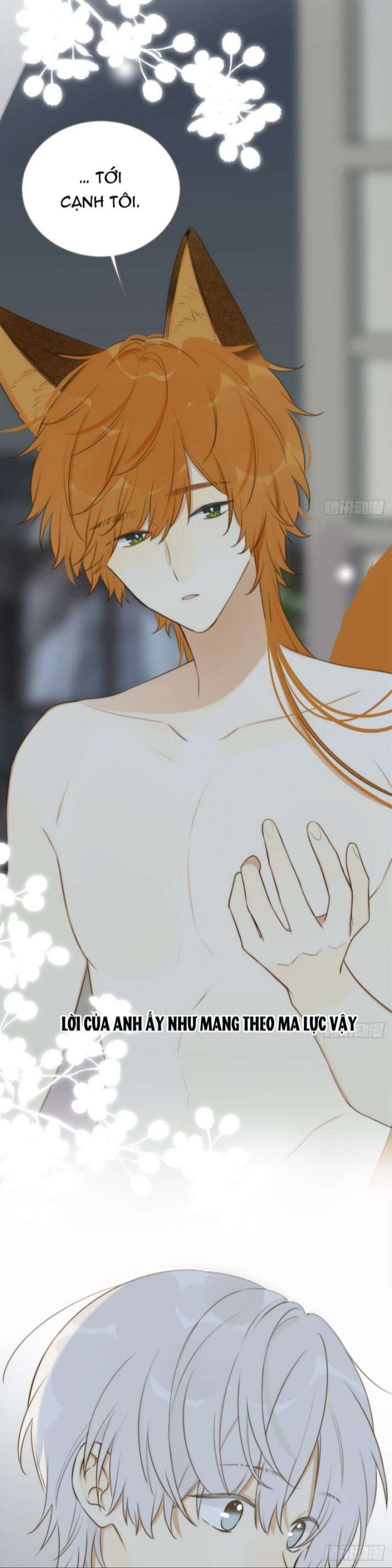 Chỉ Có Đuôi Là Không Thể Chapter 11 - Trang 2