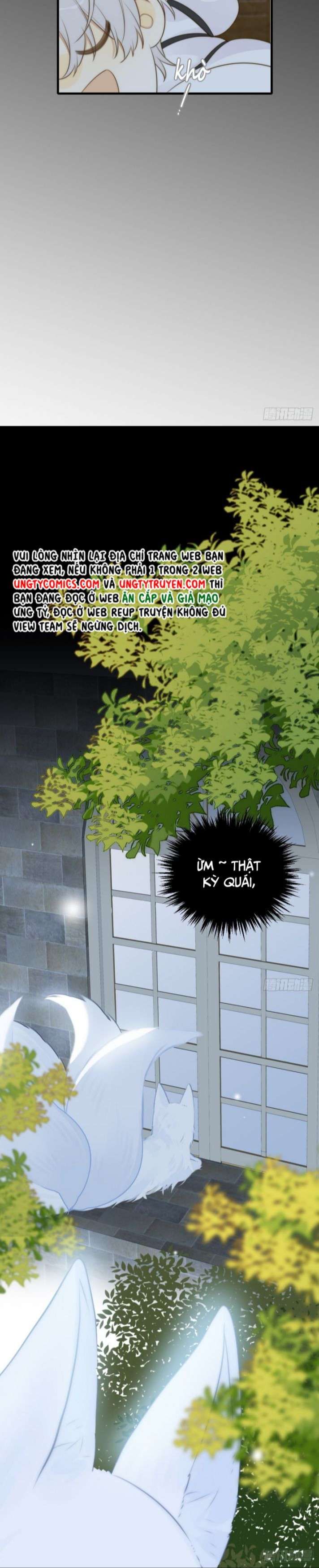 Chỉ Có Đuôi Là Không Thể Chapter 12 - Trang 2