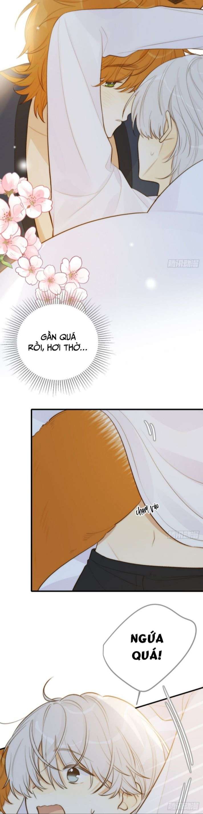 Chỉ Có Đuôi Là Không Thể Chapter 12 - Trang 2