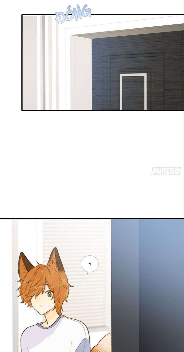 Chỉ Có Đuôi Là Không Thể Chapter 13 - Trang 2