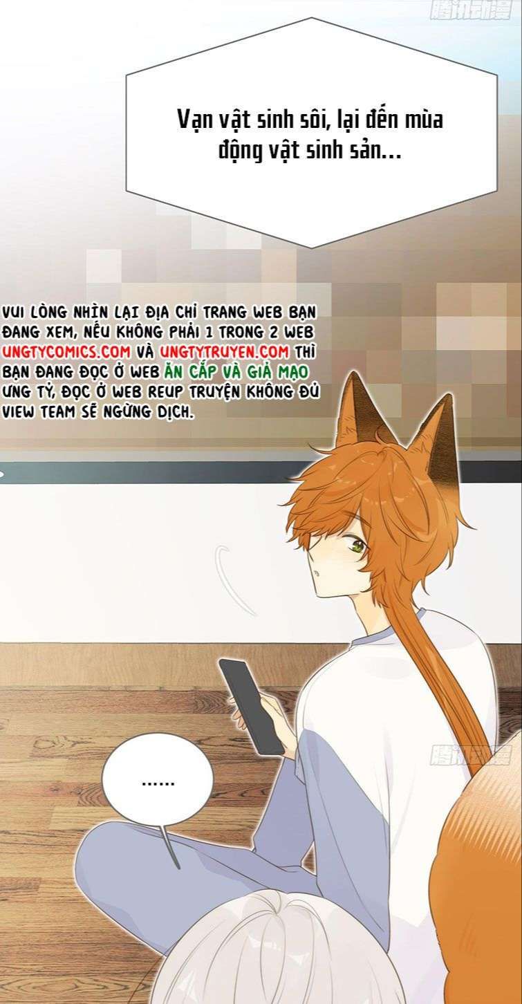 Chỉ Có Đuôi Là Không Thể Chapter 13 - Trang 2