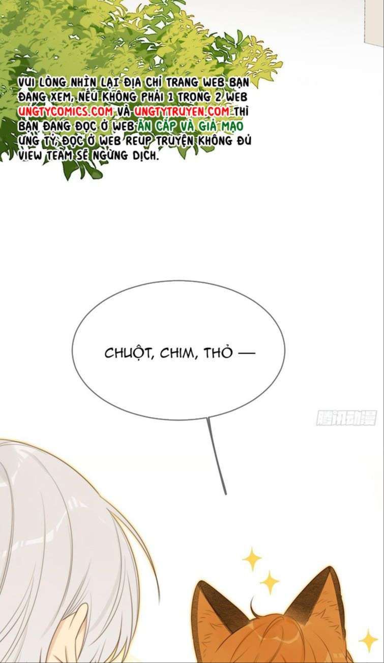 Chỉ Có Đuôi Là Không Thể Chapter 13 - Trang 2