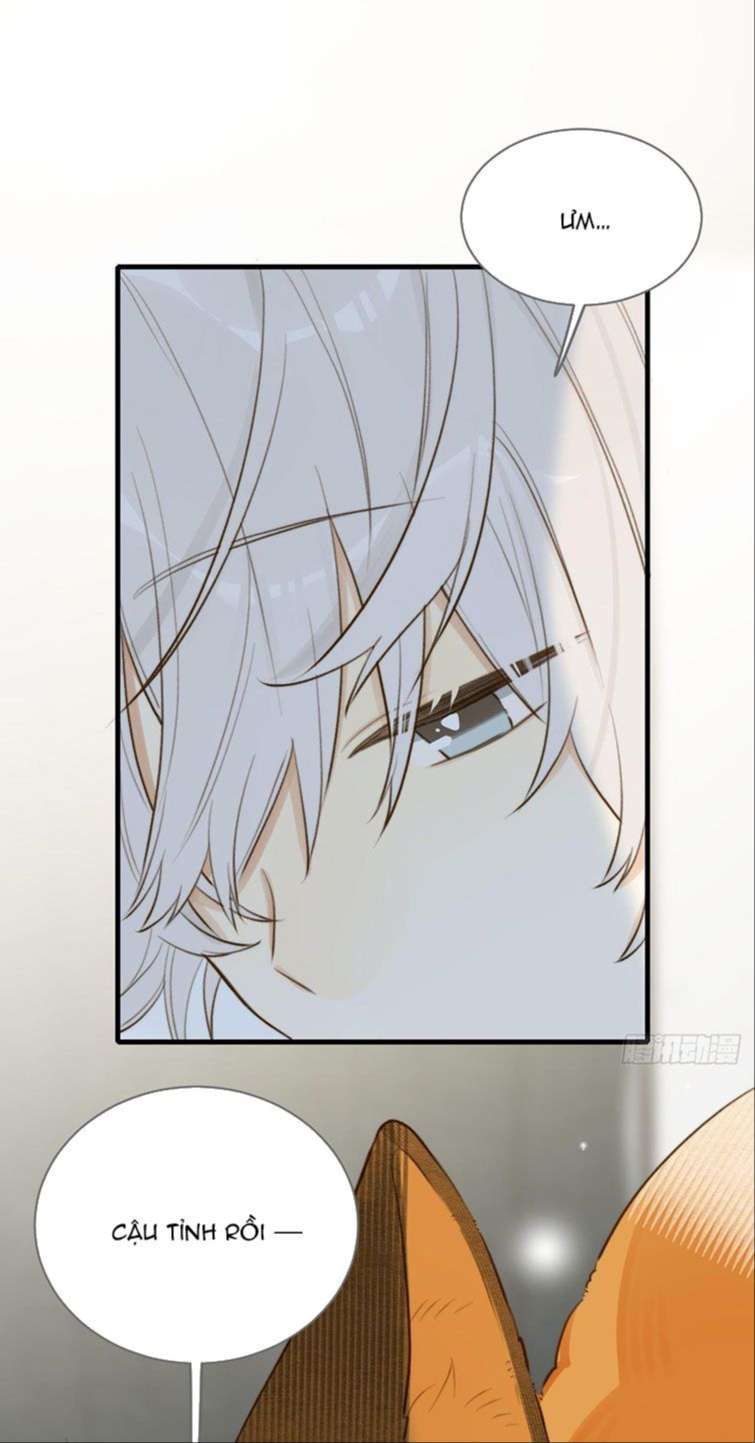 Chỉ Có Đuôi Là Không Thể Chapter 13 - Trang 2