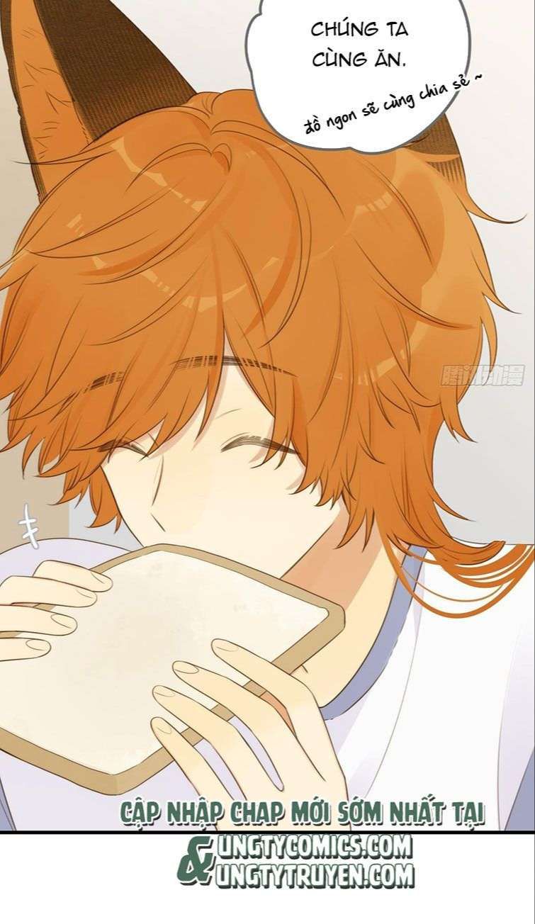 Chỉ Có Đuôi Là Không Thể Chapter 13 - Trang 2