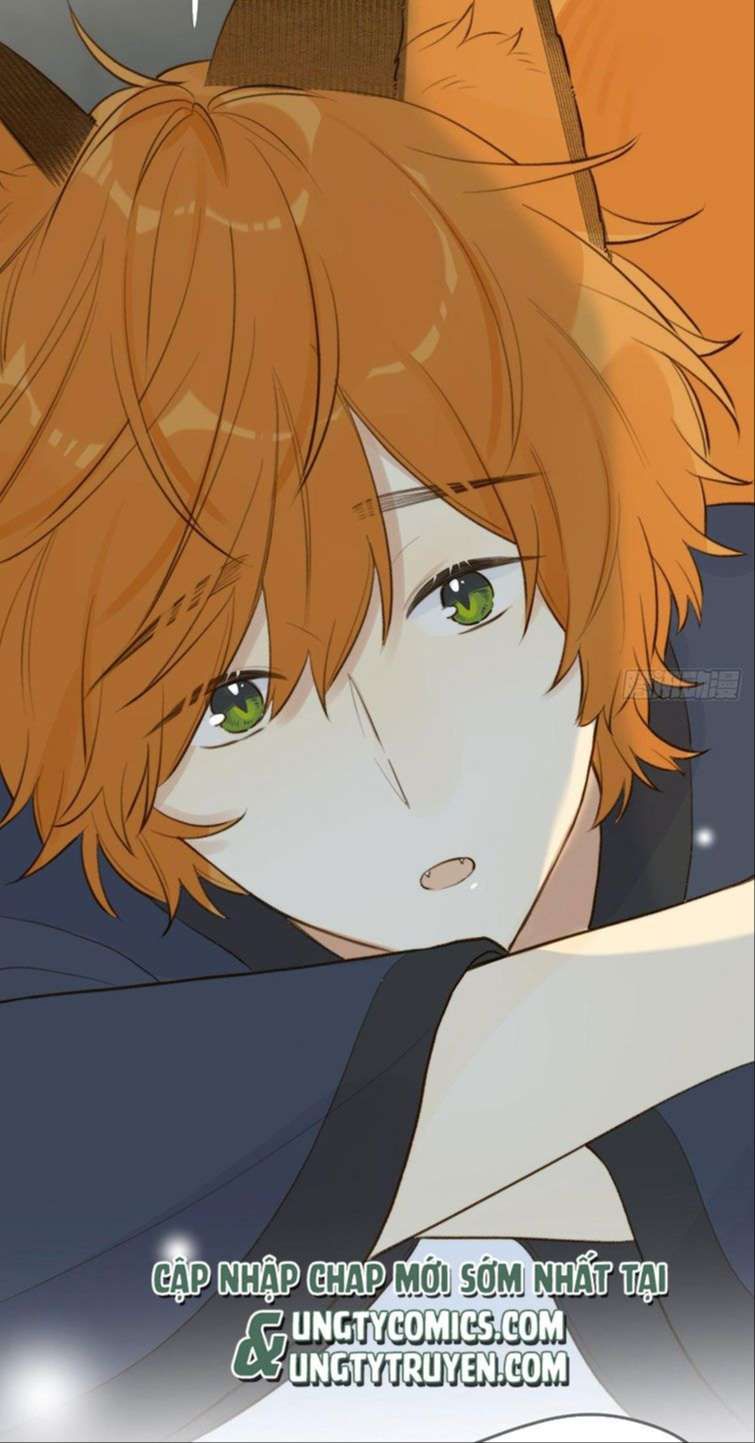Chỉ Có Đuôi Là Không Thể Chapter 13 - Trang 2