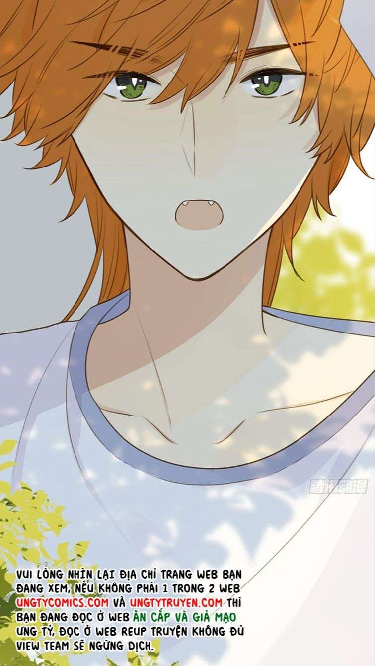 Chỉ Có Đuôi Là Không Thể Chapter 13 - Trang 2