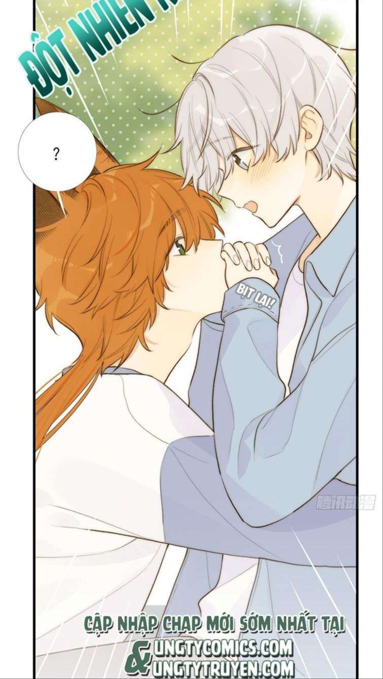 Chỉ Có Đuôi Là Không Thể Chapter 13 - Trang 2