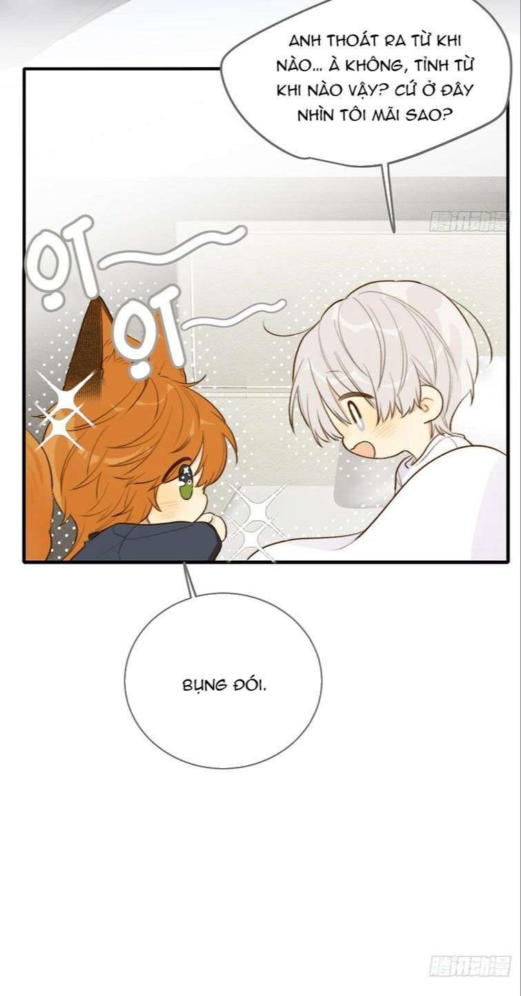 Chỉ Có Đuôi Là Không Thể Chapter 13 - Trang 2