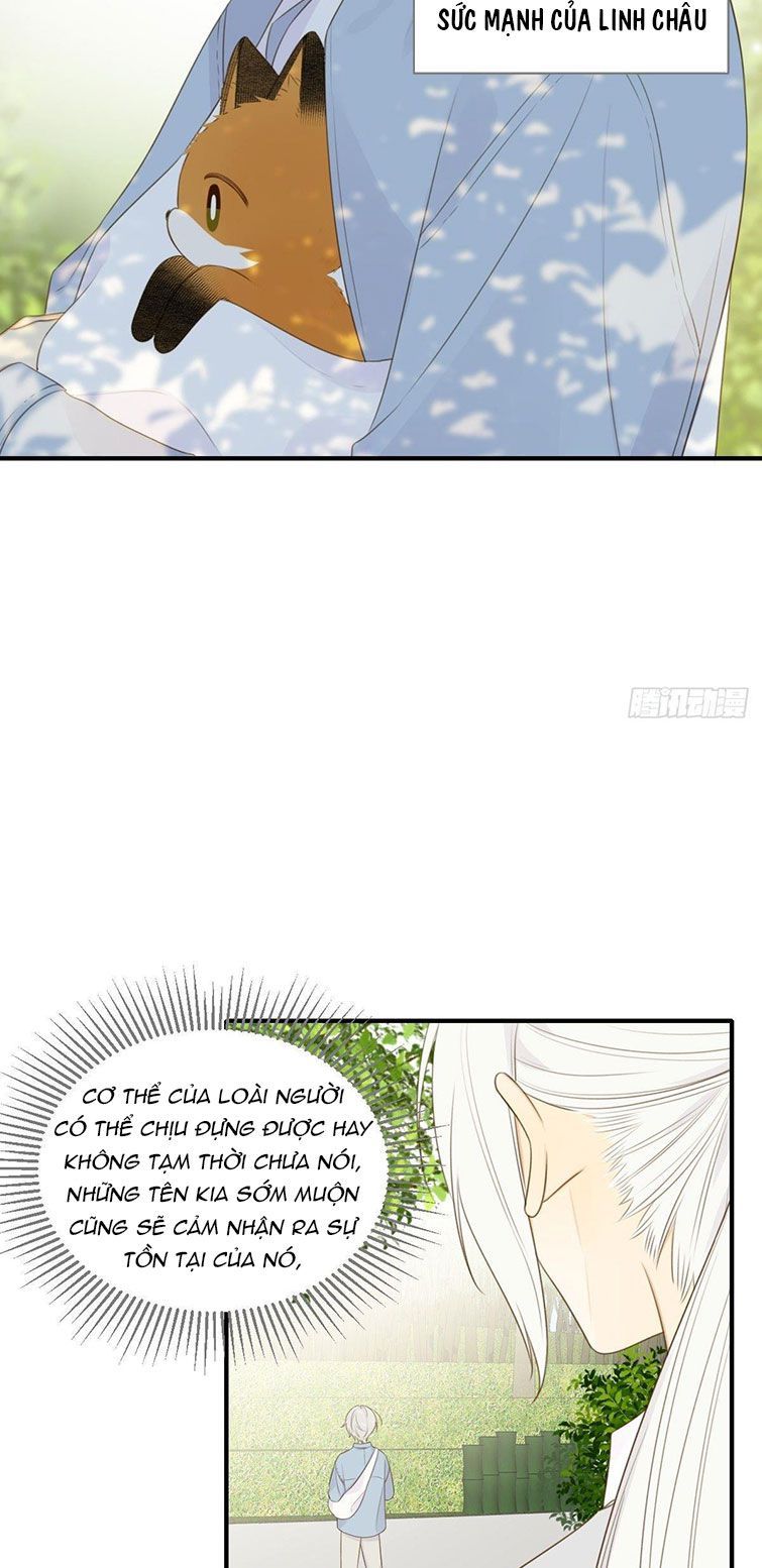 Chỉ Có Đuôi Là Không Thể Chapter 15 - Trang 2