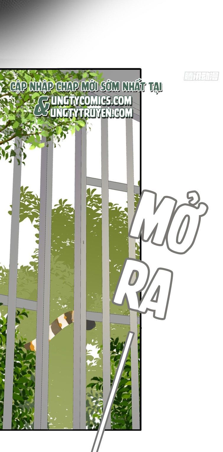 Chỉ Có Đuôi Là Không Thể Chapter 15 - Trang 2