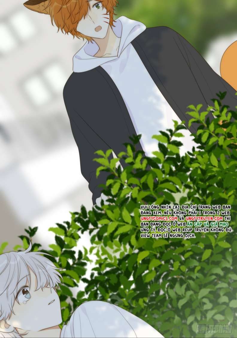 Chỉ Có Đuôi Là Không Thể Chapter 18 - Trang 2