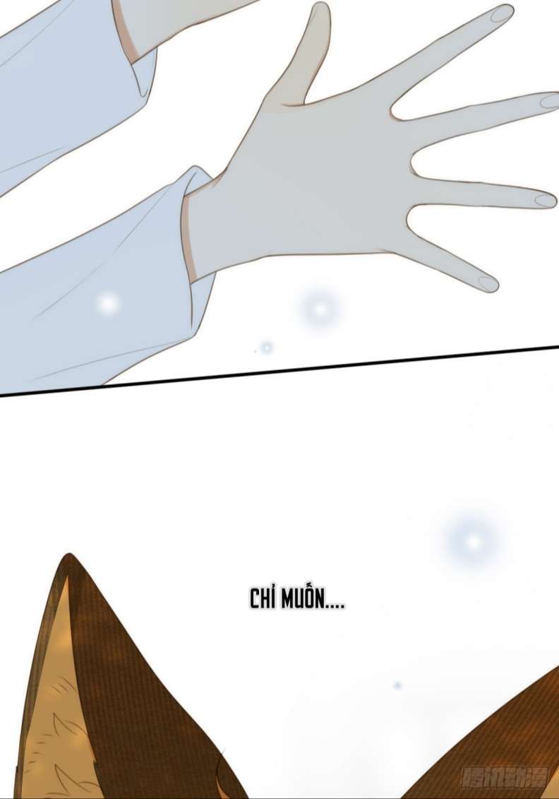 Chỉ Có Đuôi Là Không Thể Chapter 18 - Trang 2