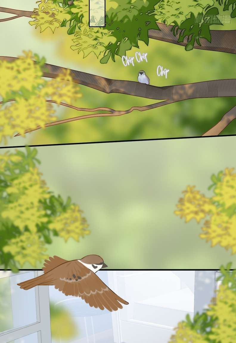 Chỉ Có Đuôi Là Không Thể Chapter 20 - Trang 2