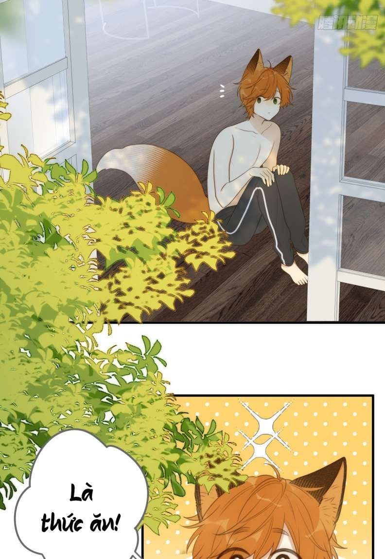 Chỉ Có Đuôi Là Không Thể Chapter 20 - Trang 2