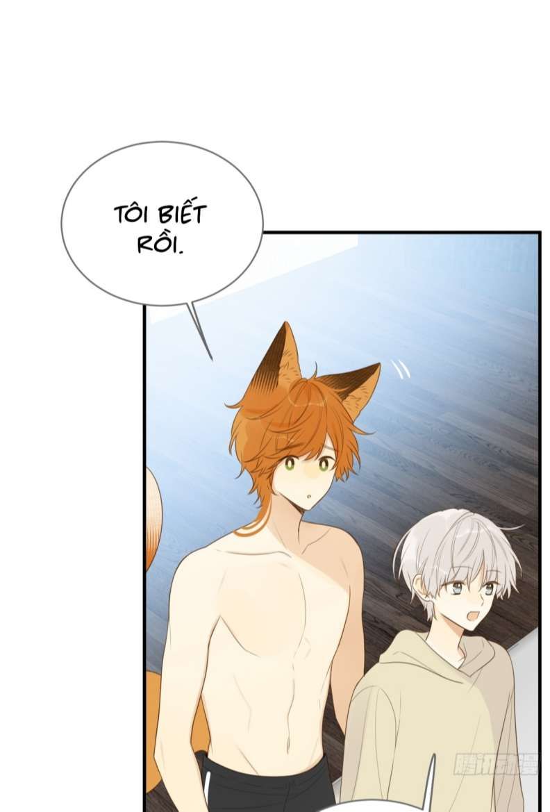 Chỉ Có Đuôi Là Không Thể Chapter 20 - Trang 2