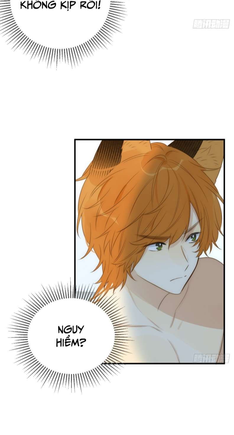 Chỉ Có Đuôi Là Không Thể Chapter 20 - Trang 2