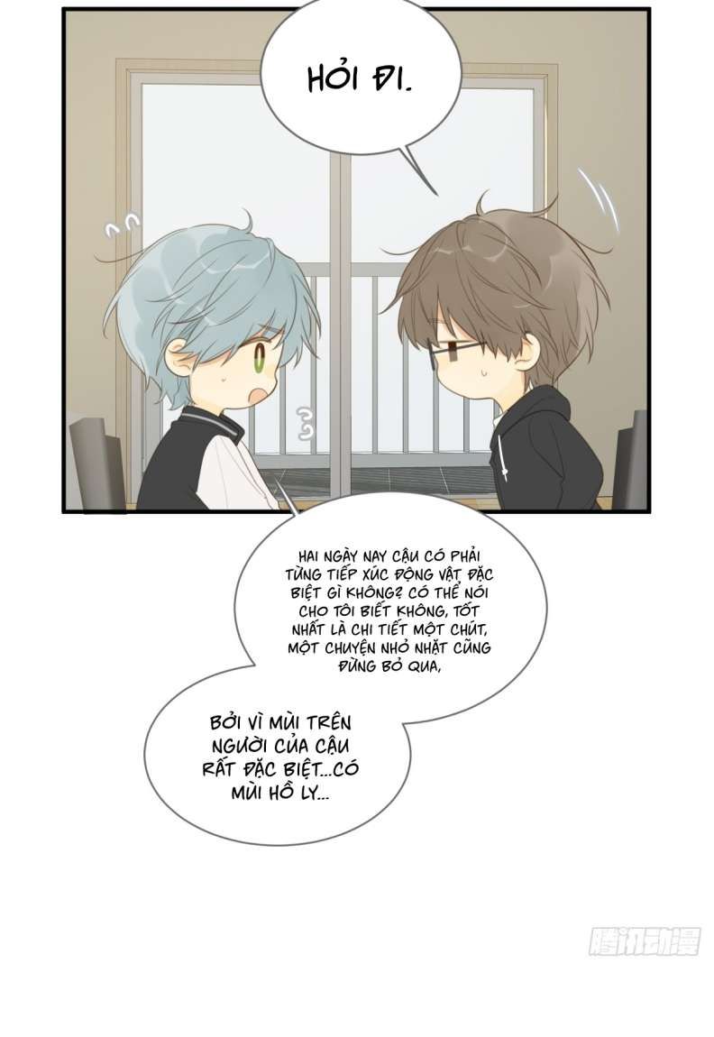 Chỉ Có Đuôi Là Không Thể Chapter 20 - Trang 2