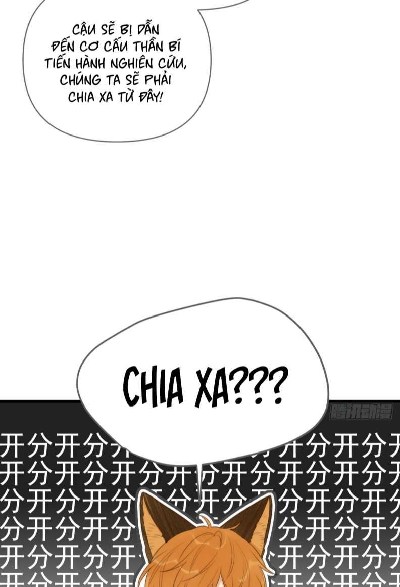 Chỉ Có Đuôi Là Không Thể Chapter 21 - Trang 2
