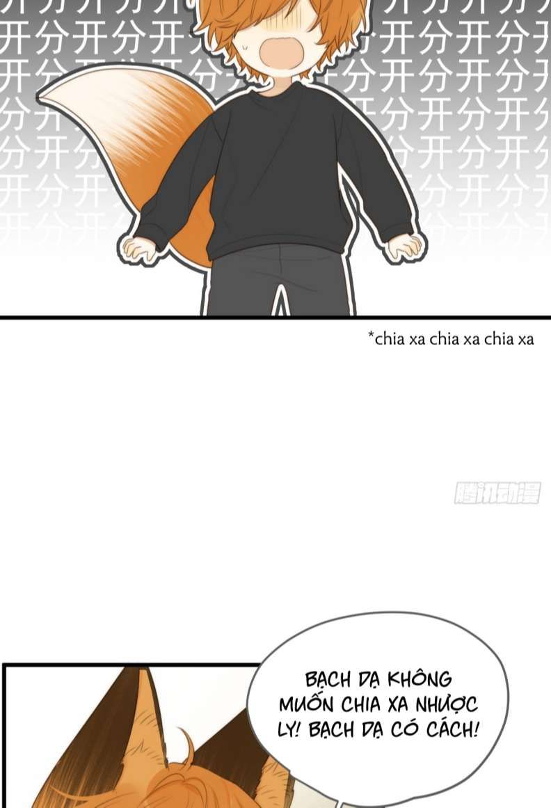 Chỉ Có Đuôi Là Không Thể Chapter 21 - Trang 2