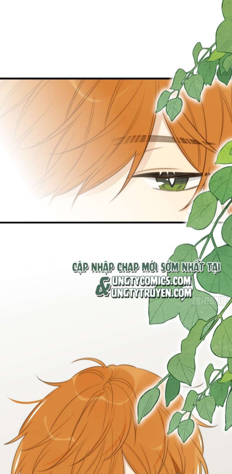 Chỉ Có Đuôi Là Không Thể Chapter 21 - Trang 2