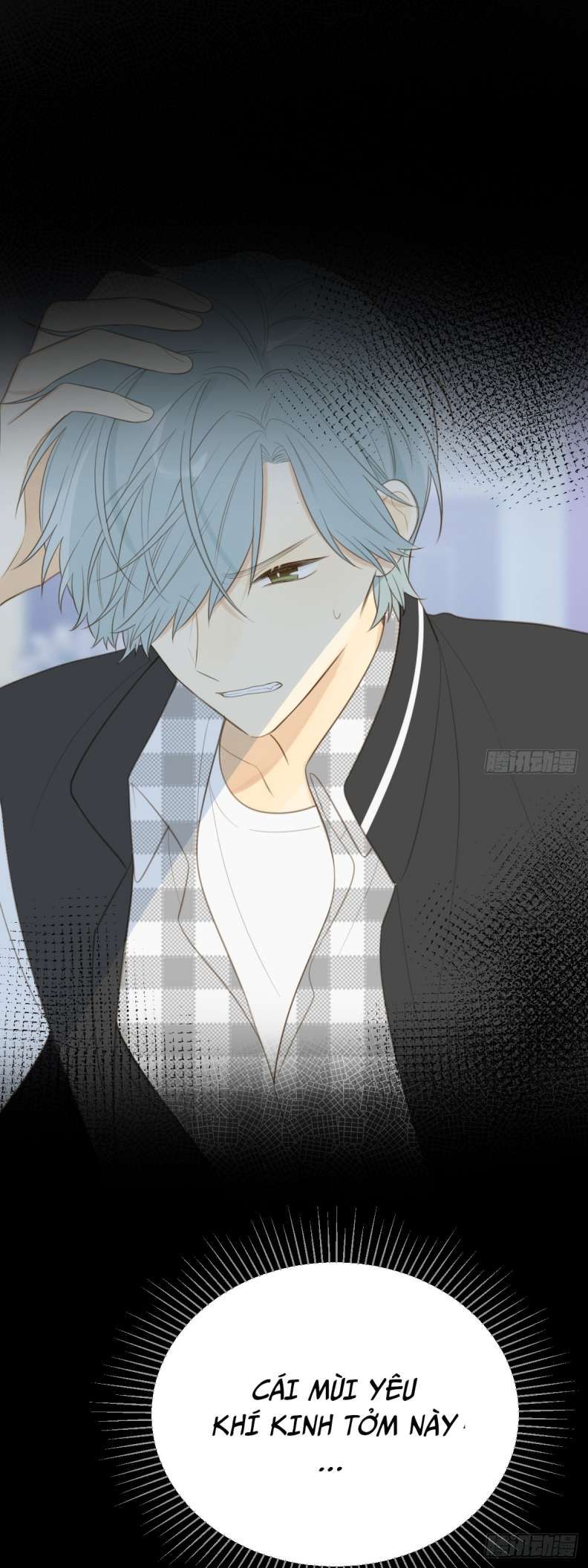 Chỉ Có Đuôi Là Không Thể Chapter 22 - Trang 2