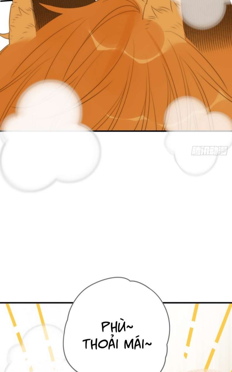 Chỉ Có Đuôi Là Không Thể Chapter 25 - Trang 2