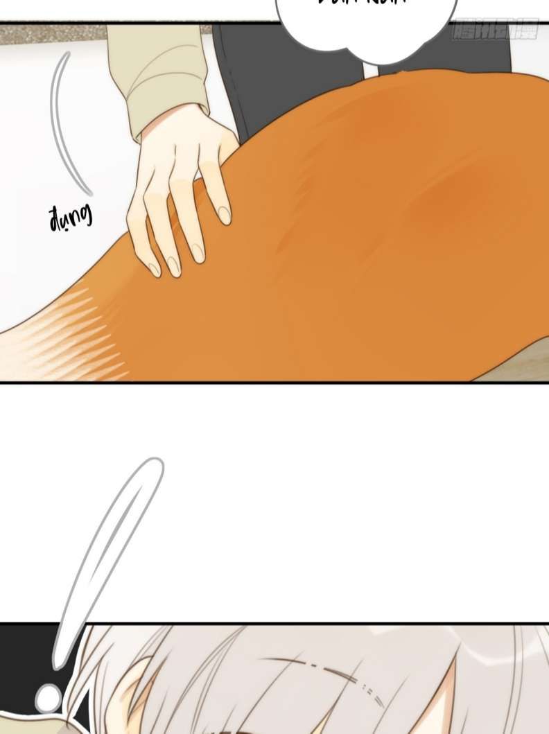 Chỉ Có Đuôi Là Không Thể Chapter 25 - Trang 2