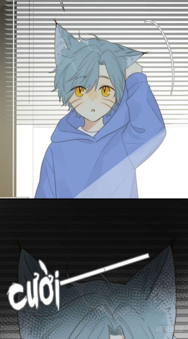 Chỉ Có Đuôi Là Không Thể Chapter 27 - Trang 2